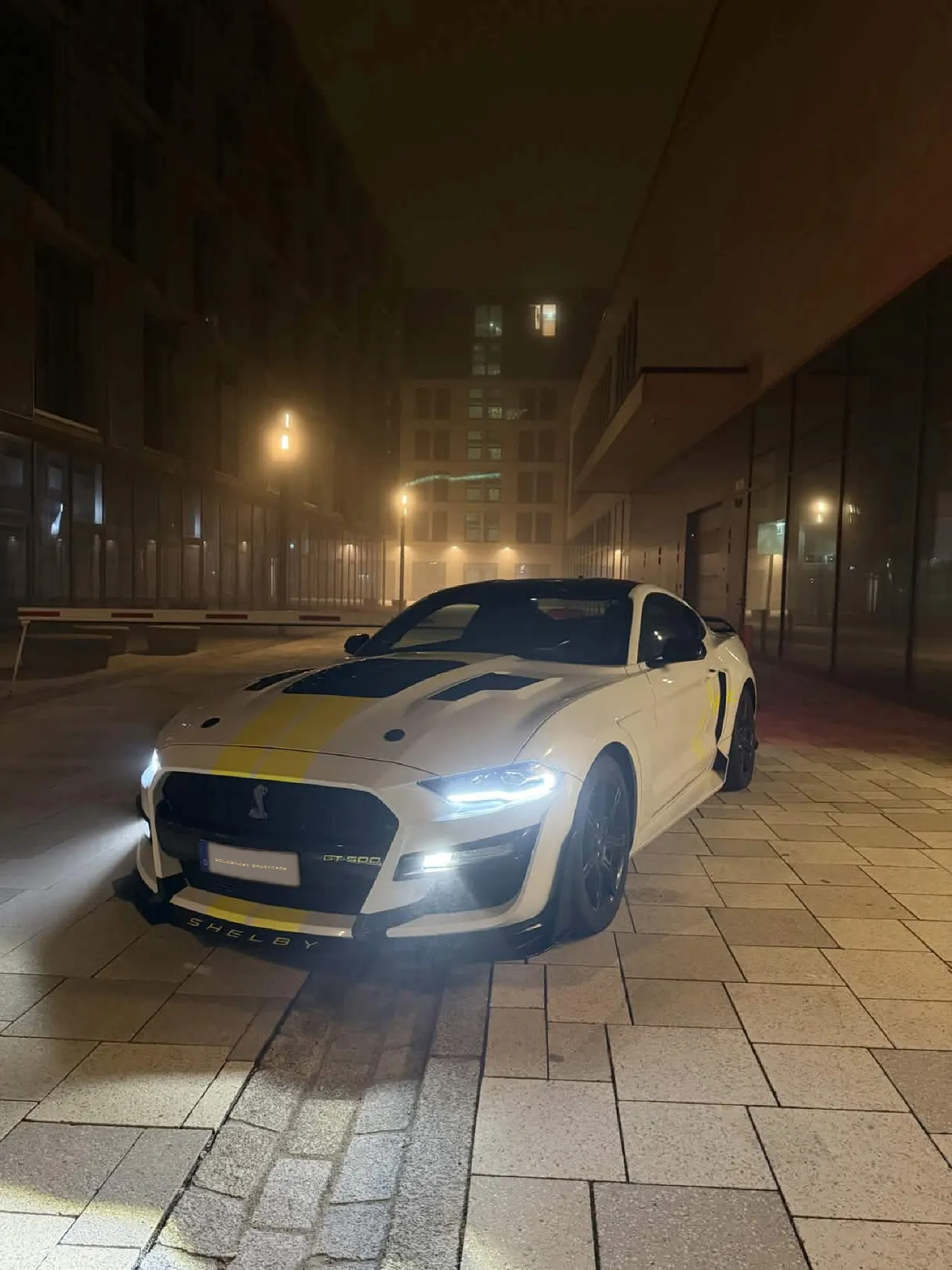 Rent a Ford Mustang GT 5.0 in Munich